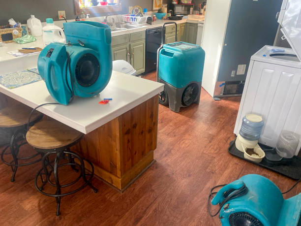 Best Local water damage restoration  in Rancho Palos Verdes, CA