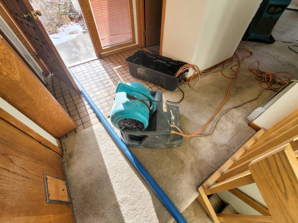 Best Basement water damage restoration  in Rancho Palos Verdes, CA