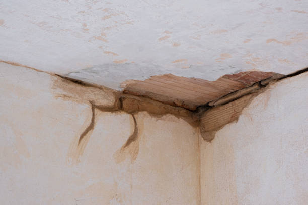 Best Fire Damage Restoration  in Rancho Palos Verdes, CA