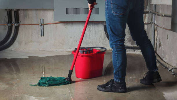 Best 24/7 water damage repair  in Rancho Palos Verdes, CA