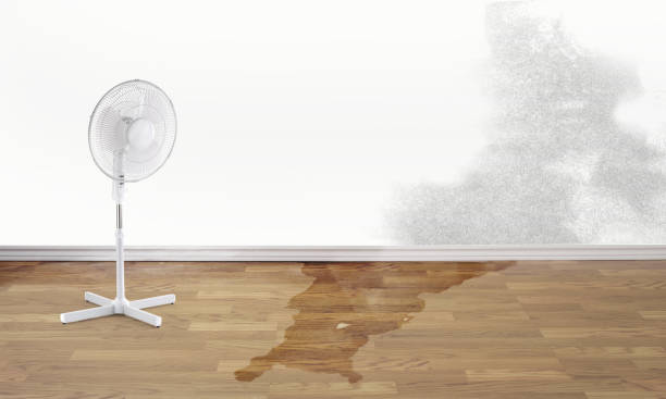 Best Sewage cleanup and water damage restoration  in Rancho Palos Verdes, CA