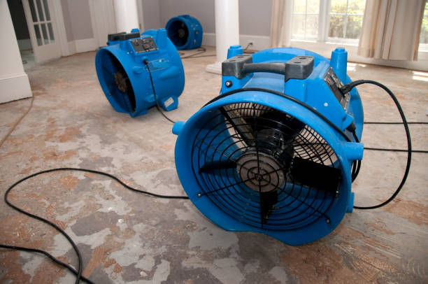 Best 24/7 water damage repair  in Rancho Palos Verdes, CA