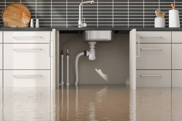 Best Commercial water damage restoration  in Rancho Palos Verdes, CA
