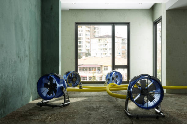Best Ceiling water damage repair  in Rancho Palos Verdes, CA